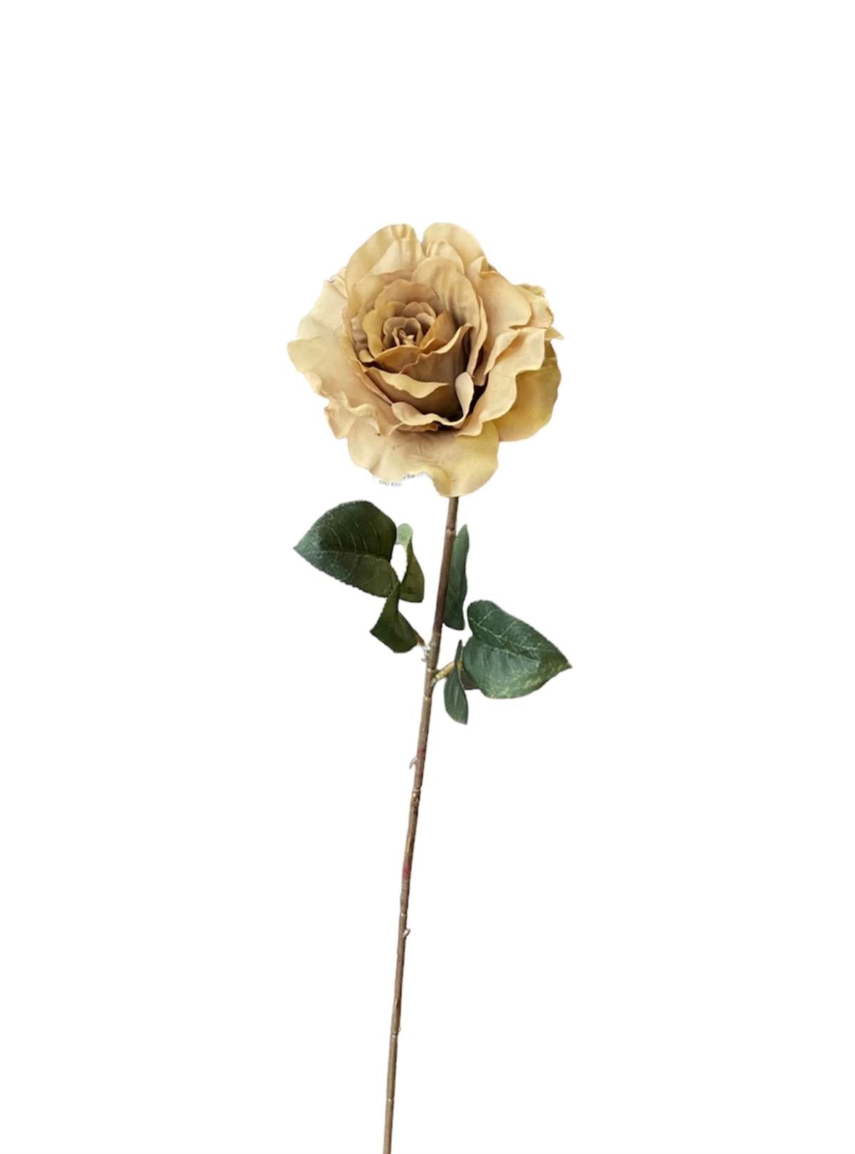 Kuk Çiçek Rose Spray X1 Coral 71 cm