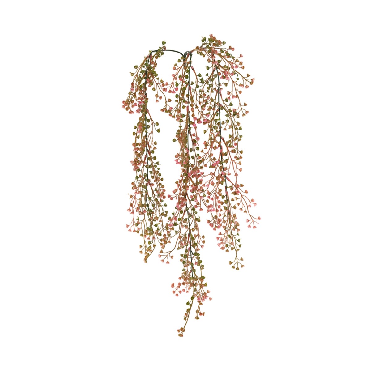 Kuk Çiçek Sarkan Berry Sarmaşık