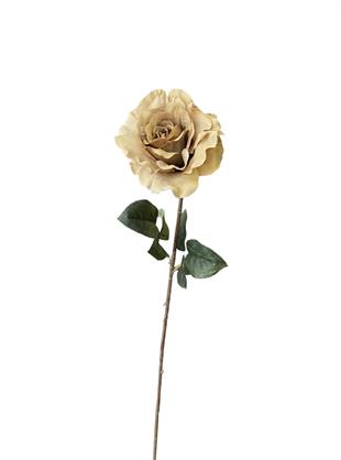 Kuk Çiçek Rose Spray X1 Coral 71 cm