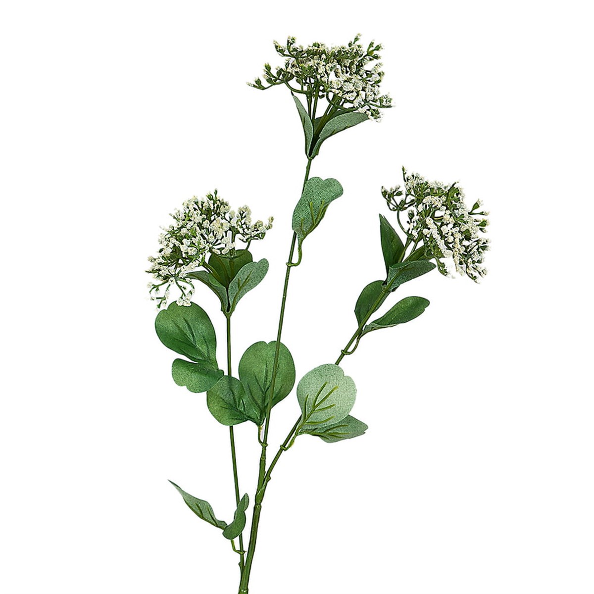 Kuk Çiçek Aradal(Cream)