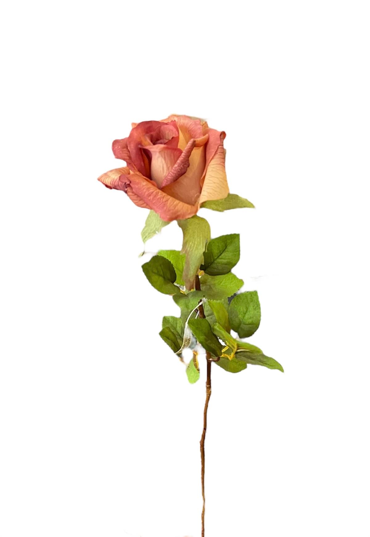 Kuk Çiçek Equador Rose Mauve 71 cm