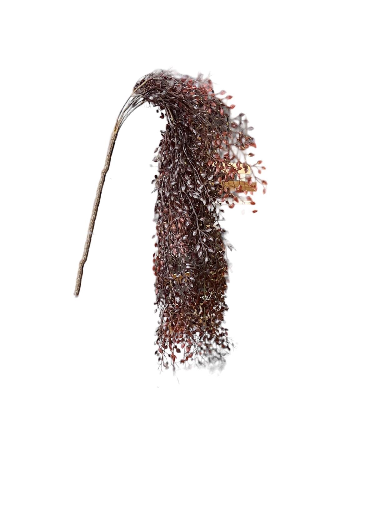 Kuk Çiçek Murraya Exotica Hanging Brush Burgandy 84 cm