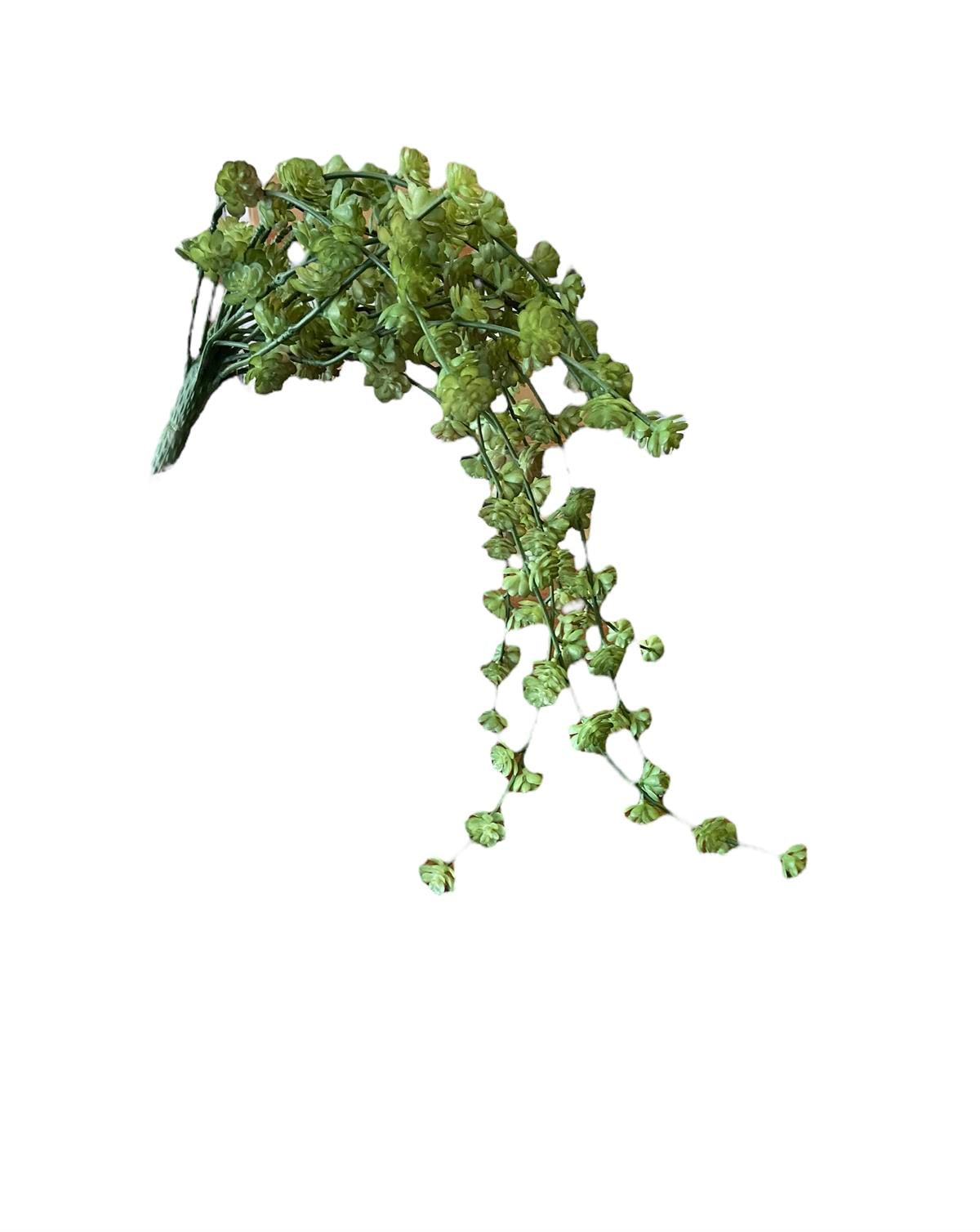 Kuk Çiçek Succulent Demet (Green)