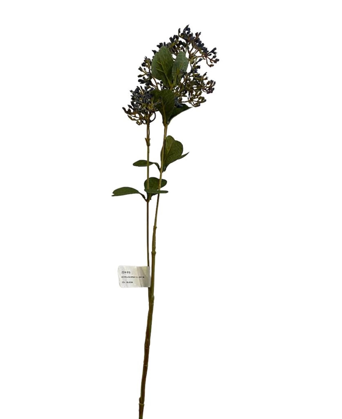 Kuk Tekdal Cipso (Blue)