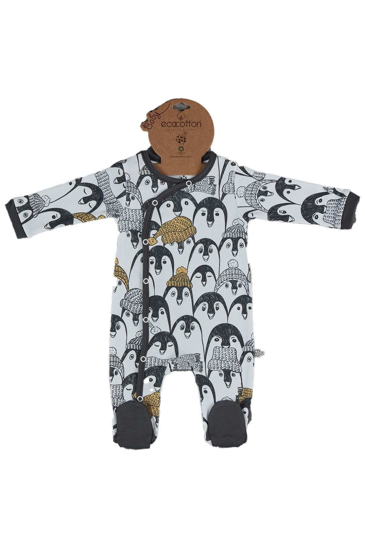 Pingu Tulum Antrasit (3-6 Ay)