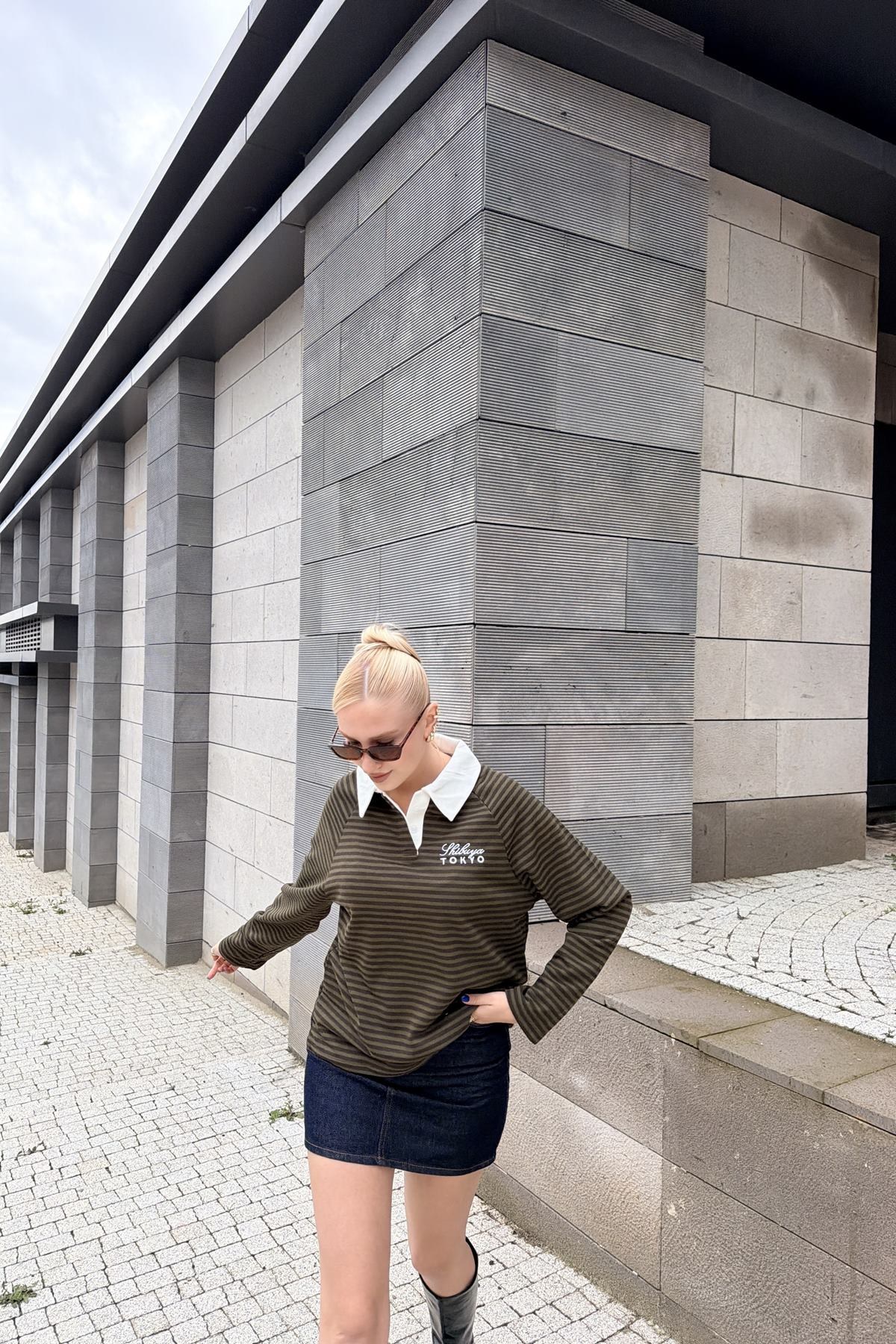 POLO YAKA ÇİZGİ VE NAKIŞ DETAY SWEAT