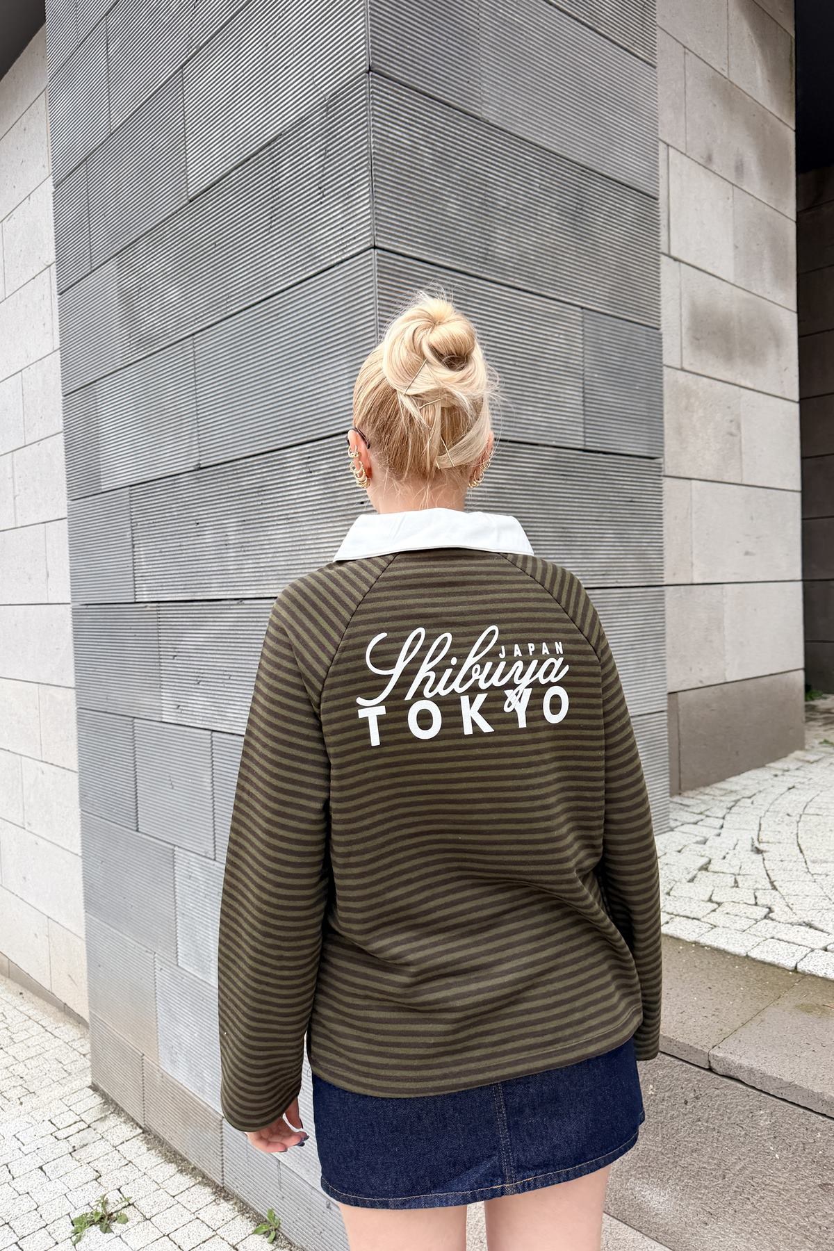 POLO YAKA ÇİZGİ VE NAKIŞ DETAY SWEAT