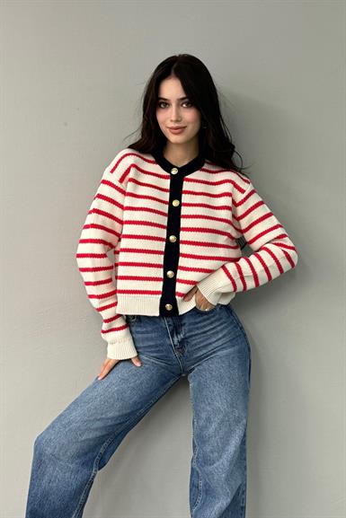 ÇİZGİ DETAY HIRKA