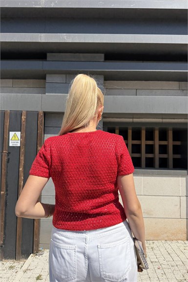 PULLU METALİK İP TRIKO HIRKA