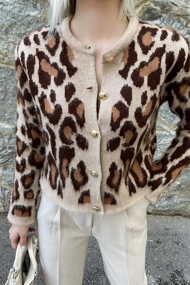 ŞARDONLU LEOPAR HIRKA