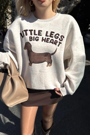 BASKI DETAYLI SWEATSHIRT