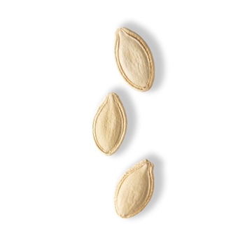 Çiğ Topan Kabak Çekirdeği