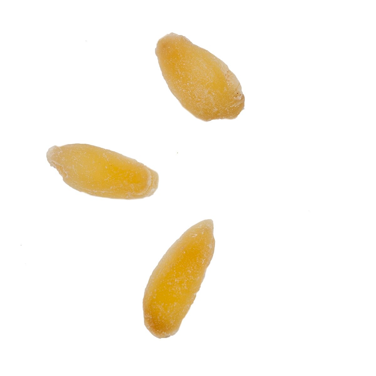 Tropikal Kuru Zencefil