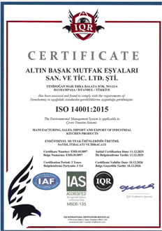 ISO 9001