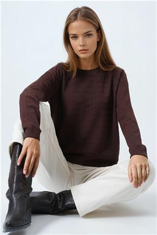 Kadın Kahverengi Bisiklet Yaka Dokulu Örgü Desenli Uzun Kollu Triko Bluz VS01061