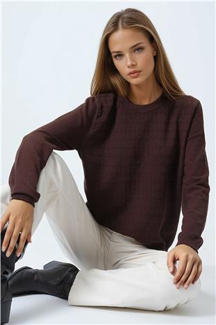 Kadın Kahverengi Bisiklet Yaka Dokulu Örgü Desenli Uzun Kollu Triko Bluz VS01061