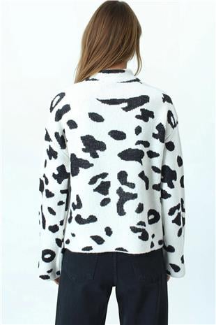 Kadın Ekru Desenli Yarım Balıkçı Yaka Triko Kazak VS01038