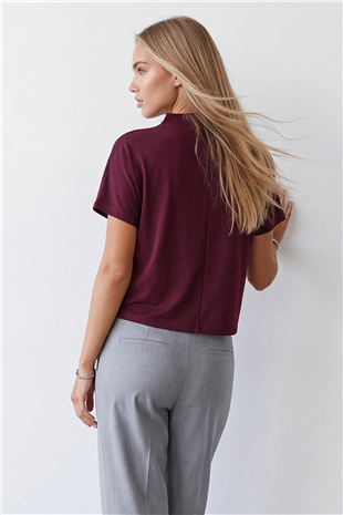 Kadın Bordo Dik Yaka Yarım Kol Triko Bluz Alc-X14628