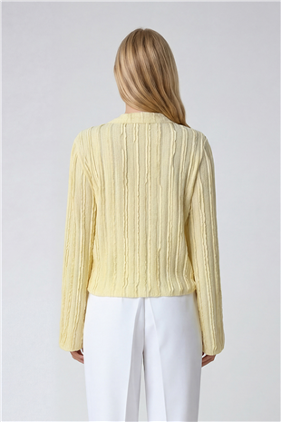 Kadın Sarı V Yaka İspanyol Kol Fırfır Kumaş Gömlek Alc-X15404