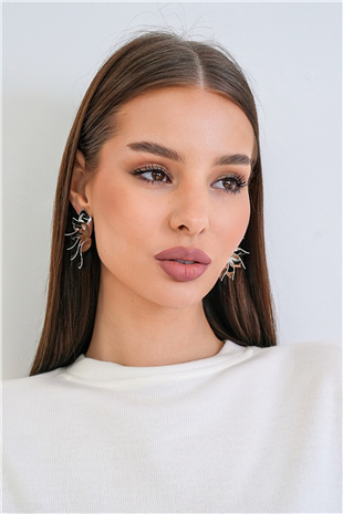 Kadın Silver Spiral Yaprak Çelik Tasarım Küpe Alc-X15364