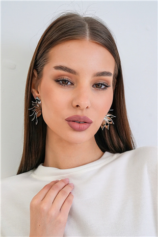 Kadın Silver Spiral Yaprak Çelik Tasarım Küpe Alc-X15364