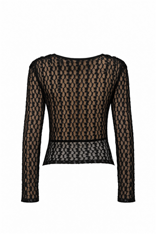 Kadın Siyah Degaje Yaka Astarlı Drapeli Tül Bluz Alc-X15138