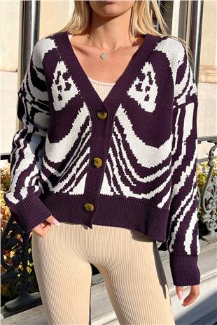 Kadın Mor V Yaka Düğmeli Soyut Desen Kalın Örme Hırka ESQ7639