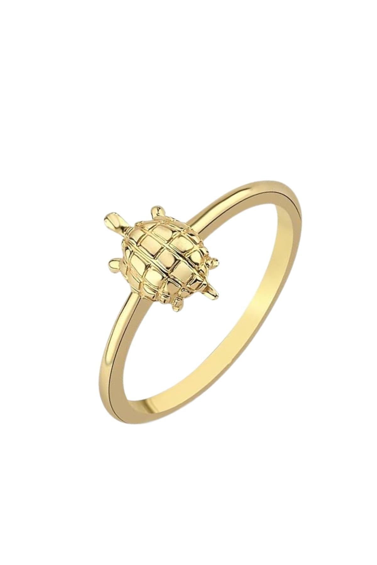 Schildkröte Gelenk Ring