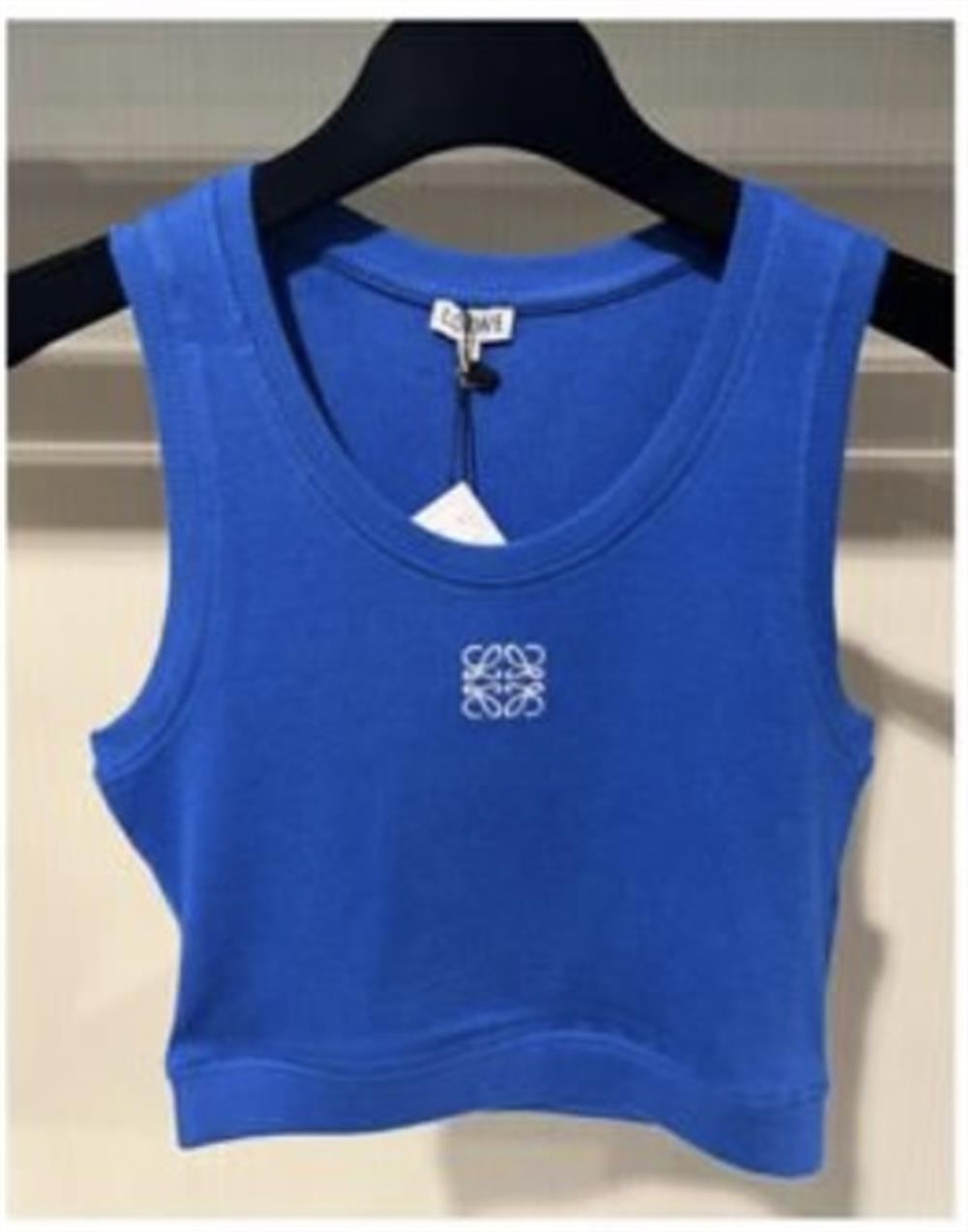 Loewe saks  crop top