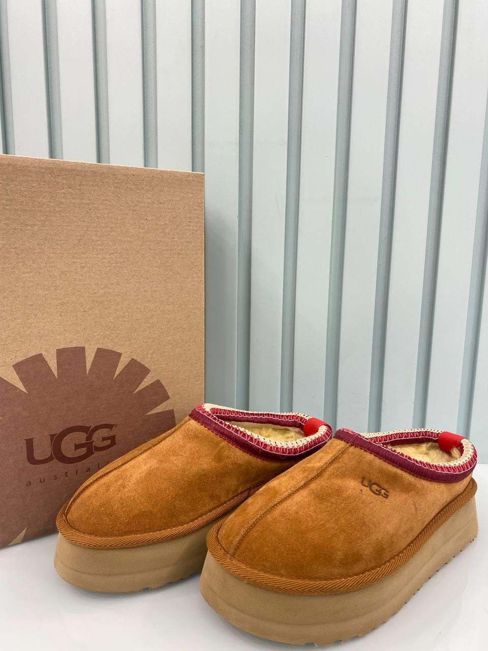 UGG TAZZ TABA