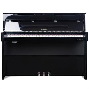 arsenberg-speyer-ashp30-21b-