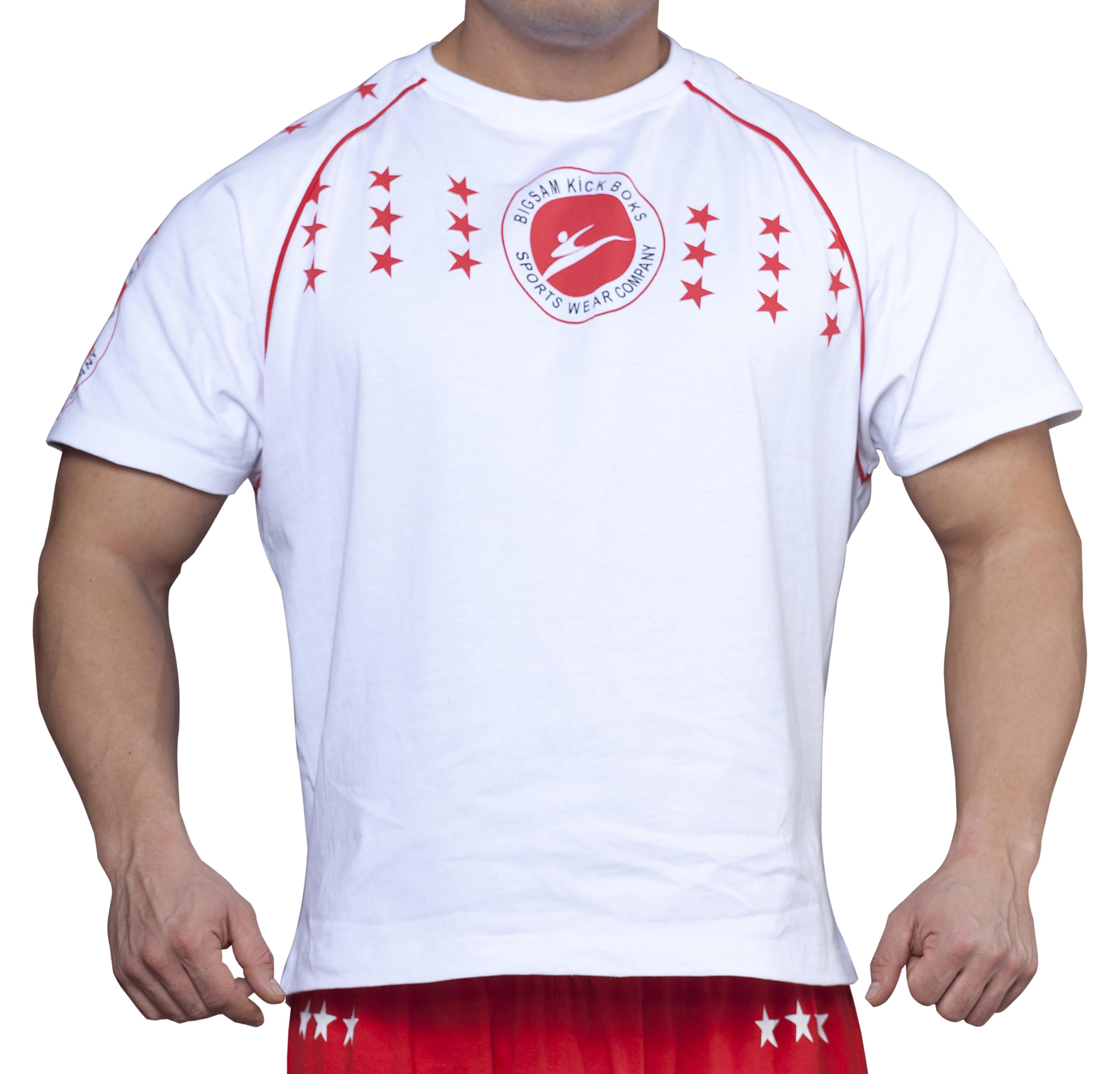 Kick Box Antrenman  Tişörtü Big Sam 2623