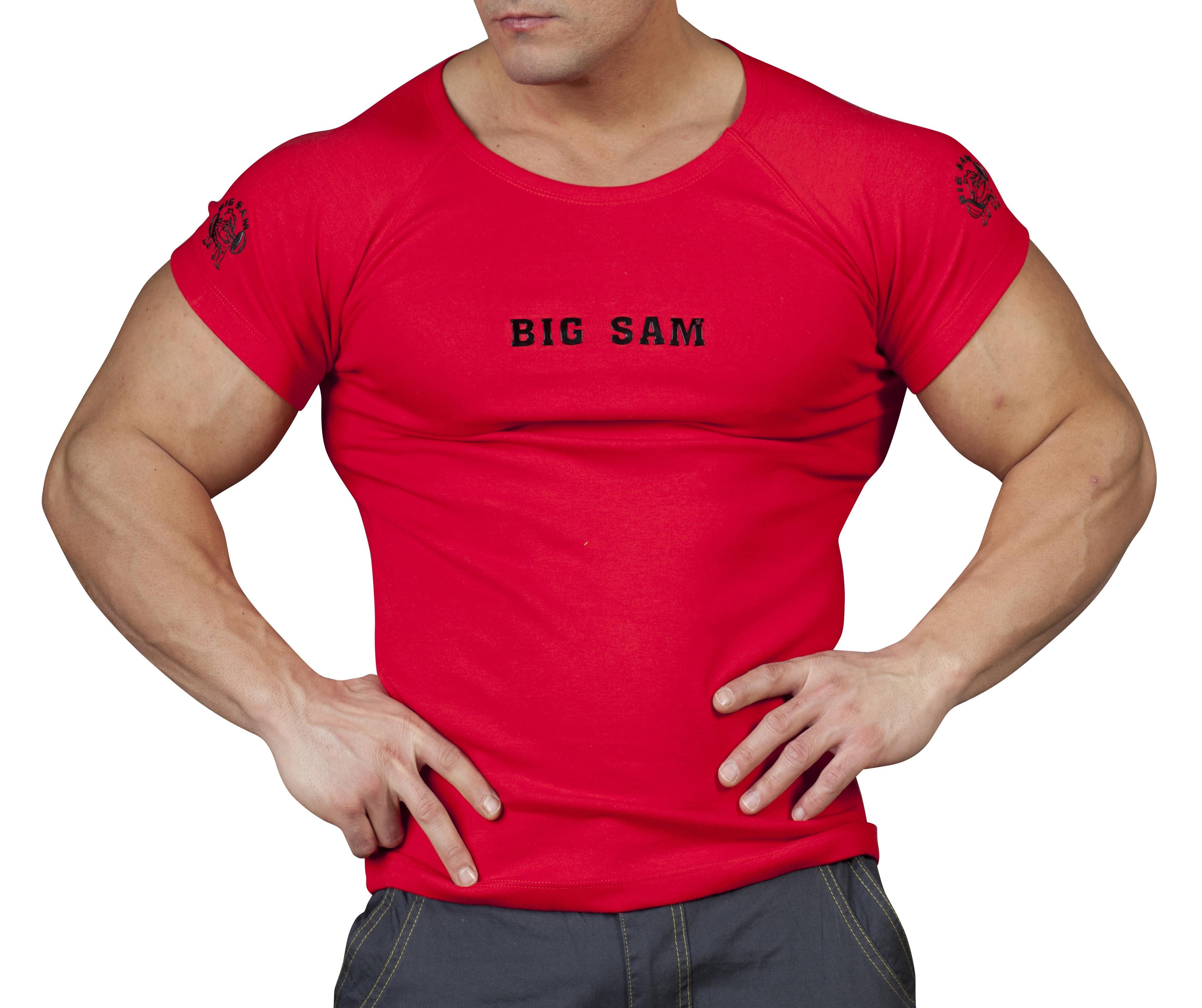 Slim Fit Tişört Big Sam 2571