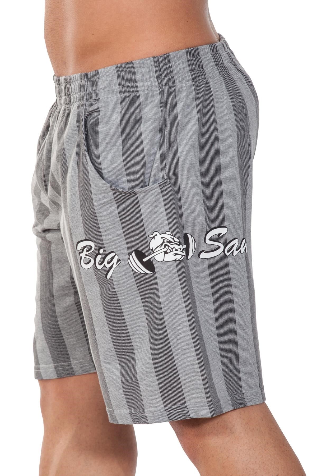 Gri Çizgili Şort Big Sam 1437