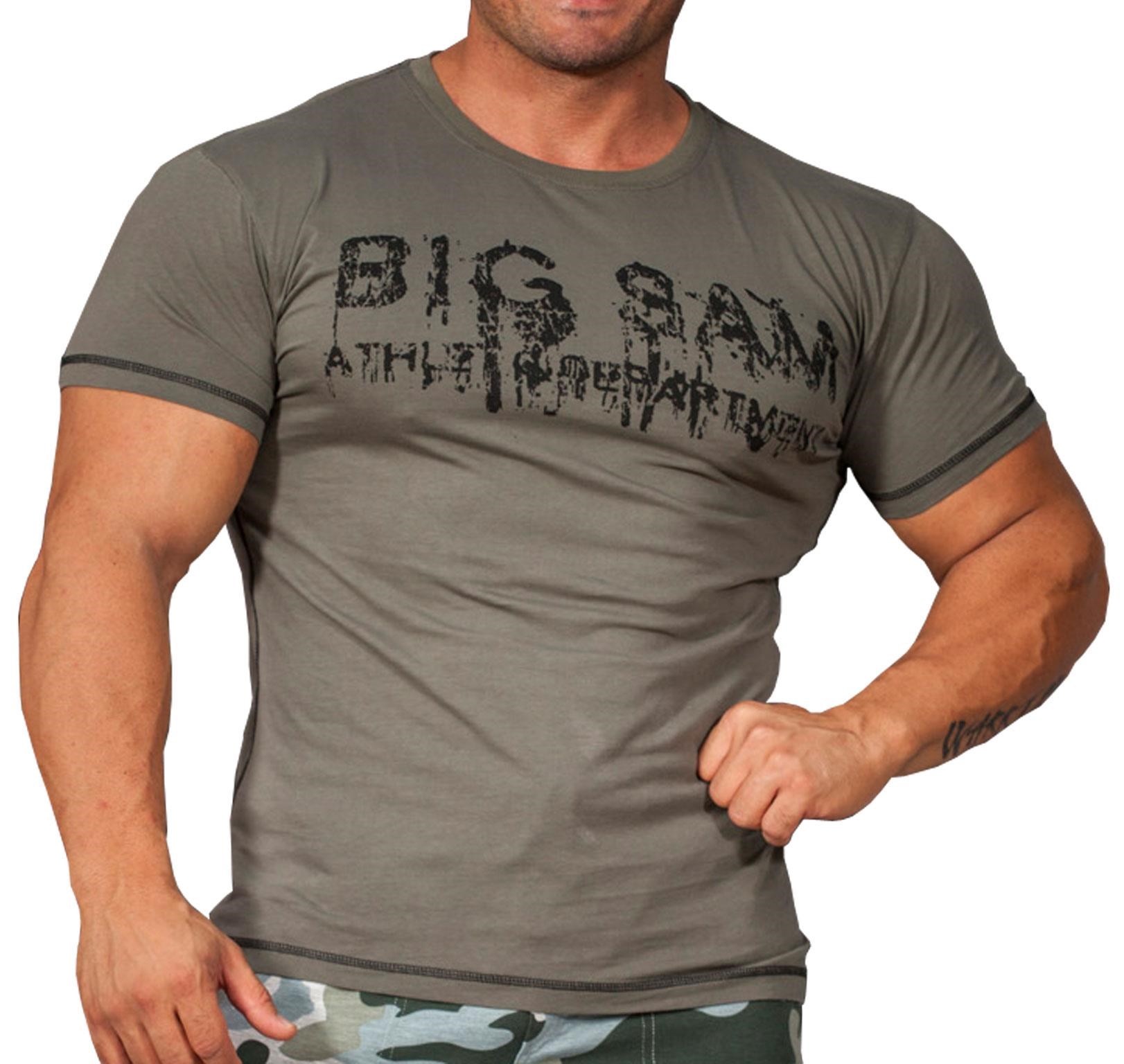 Haki Regular Fit T-shirt Big Sam 2854