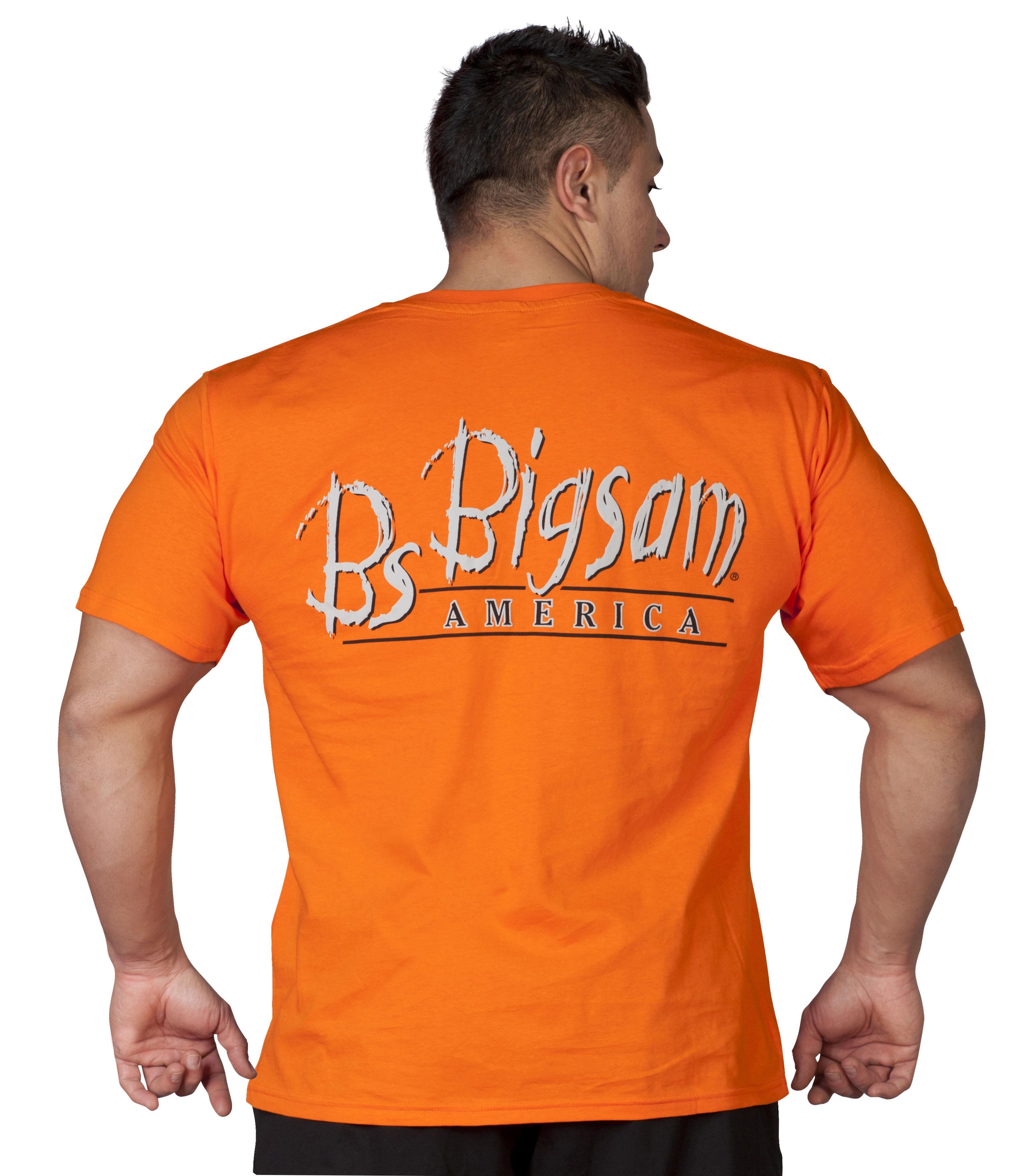 İnce Pamuk Yazlık T-shirt Big Sam 2579