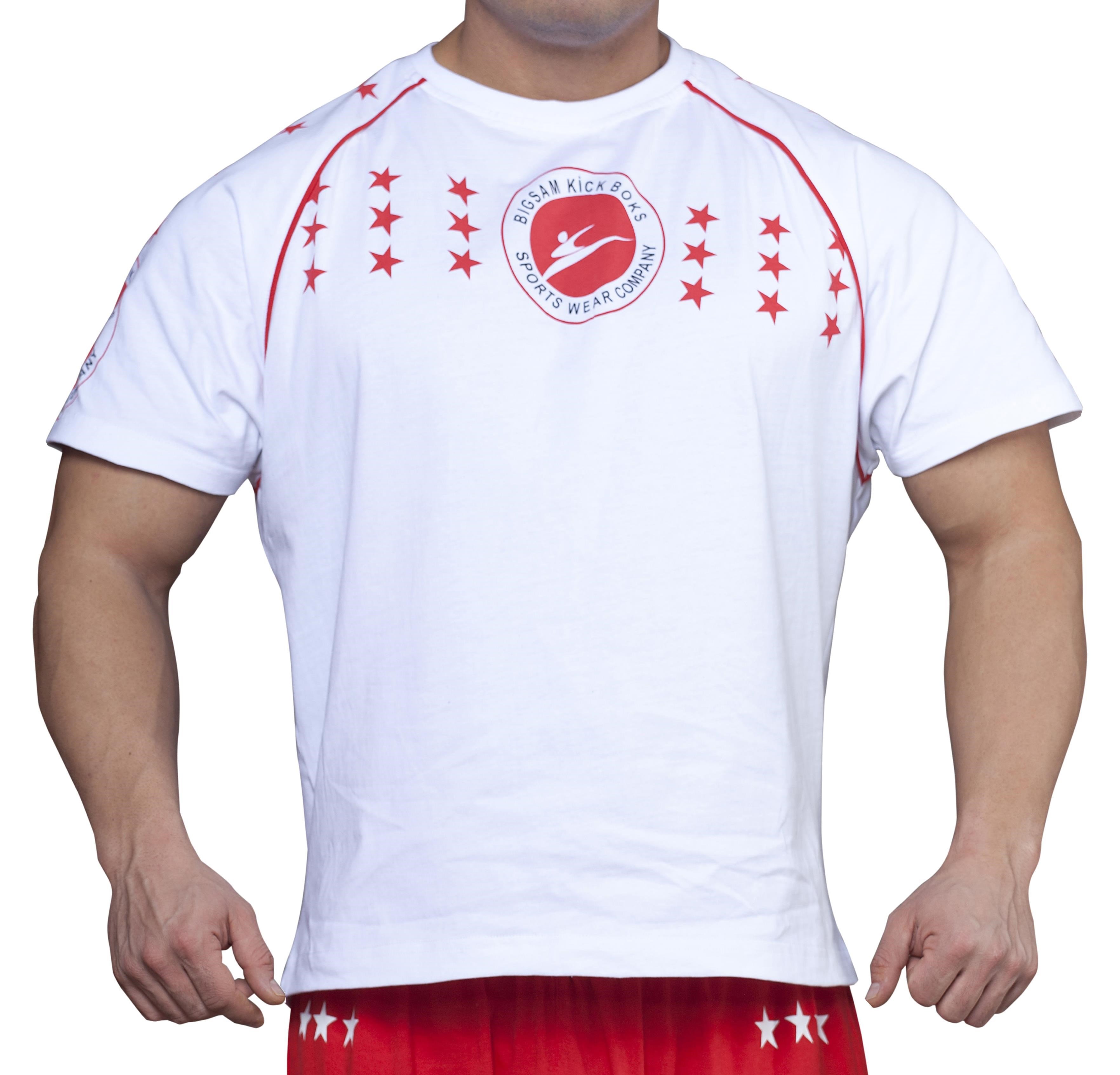 Kick Box Antrenman  Tişörtü Big Sam 2623