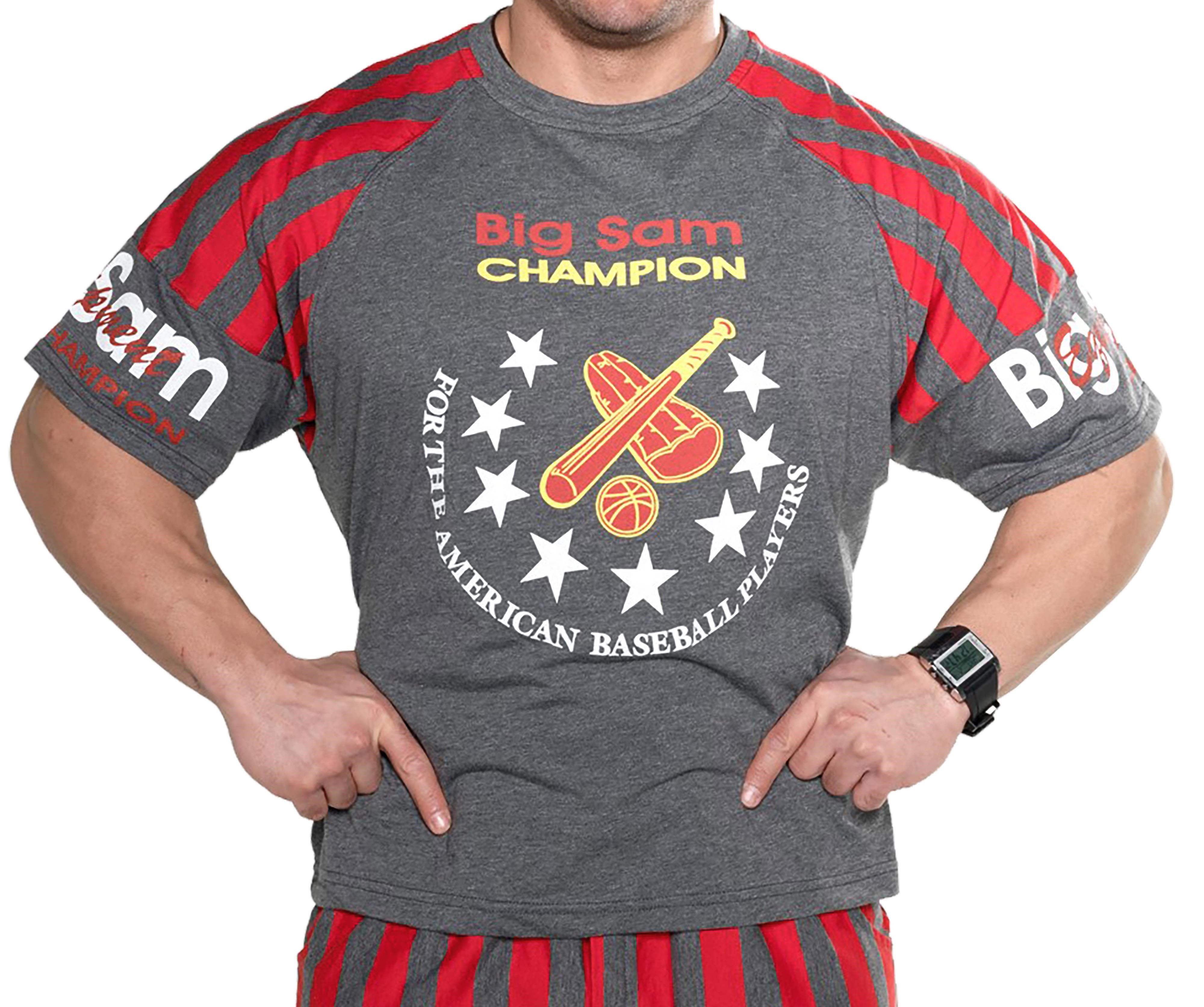 Reglan Kol Antrenman Tişörtü Big Sam 2685