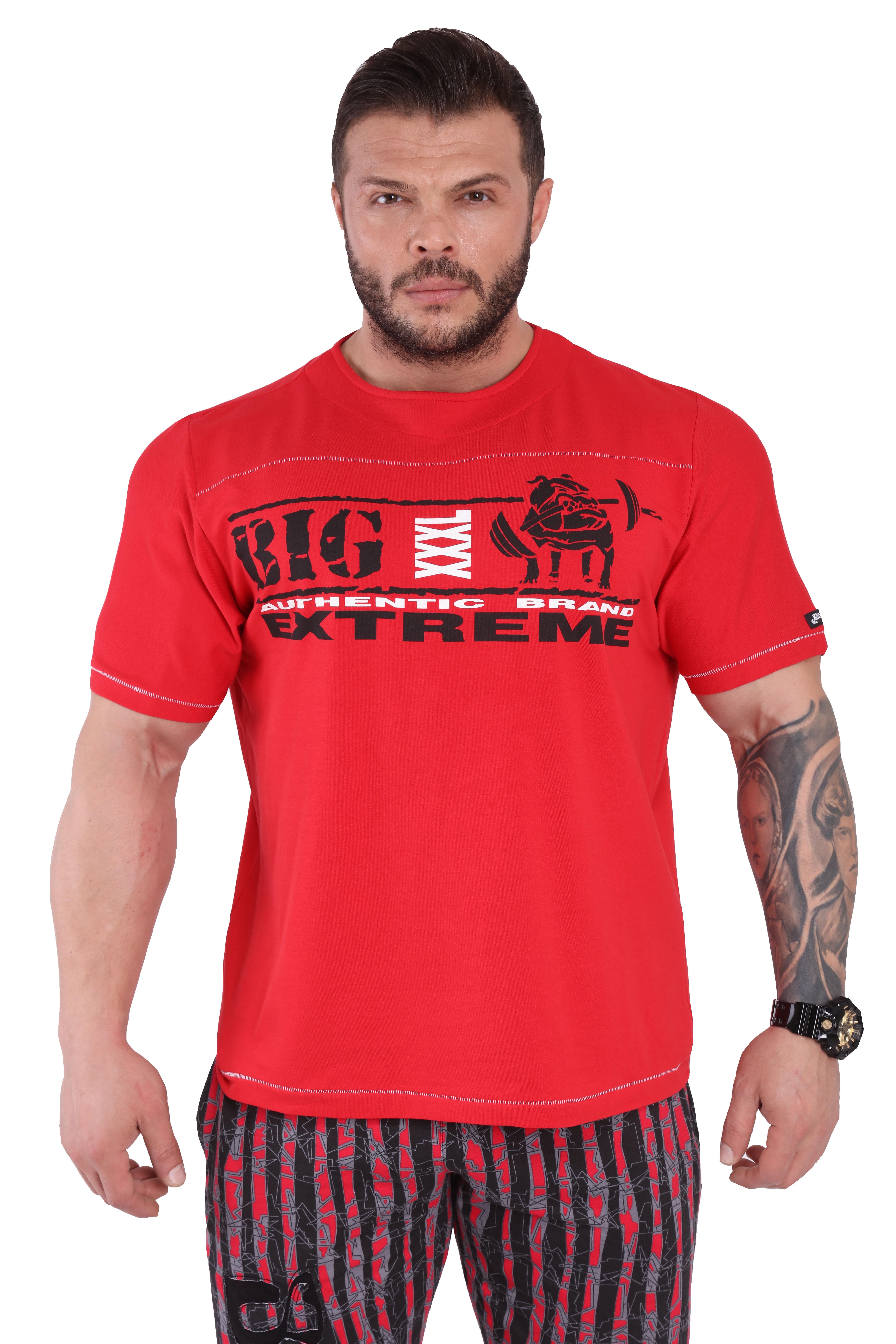 Temel Antrenman Tişörtü Big Sam 3225