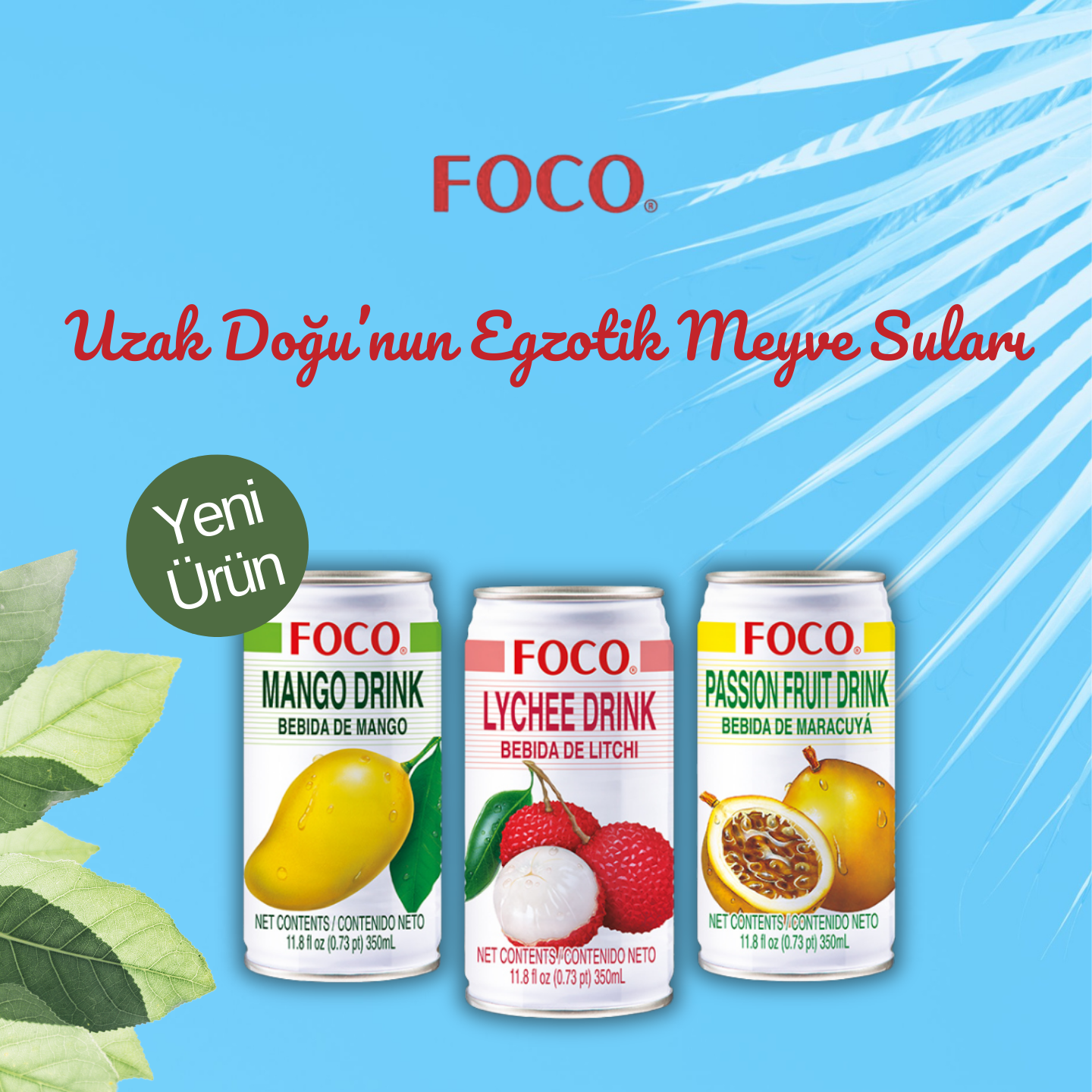 Foco Yeni Ürün
