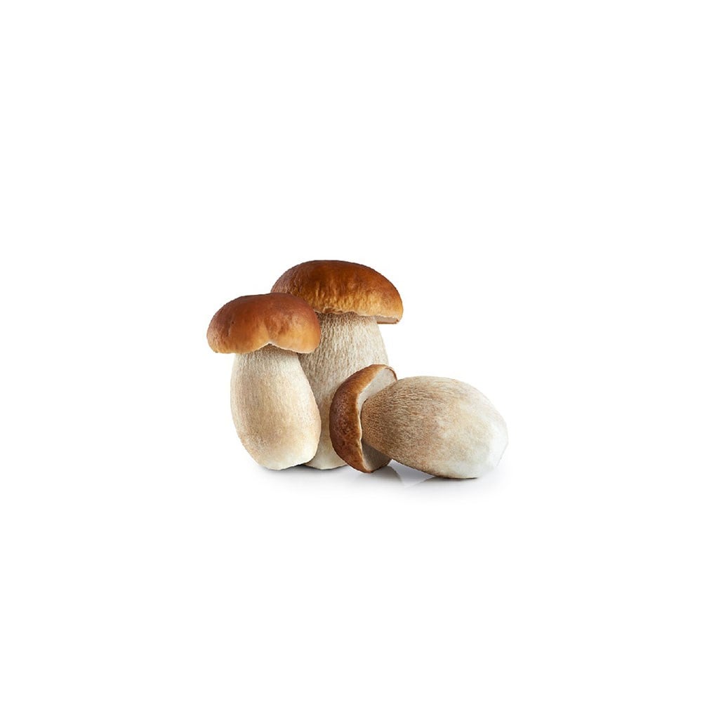 Chefline Donuk Porçini Mantarı (Boletus Edulis) No:1