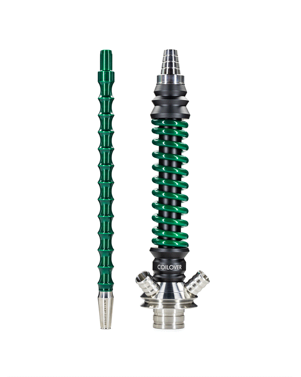 Mamay Customs Coilover Mini 5