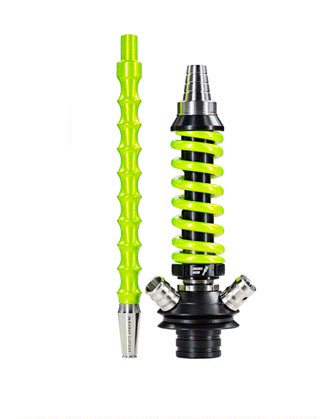 Mamay Customs Micro Coilover 4