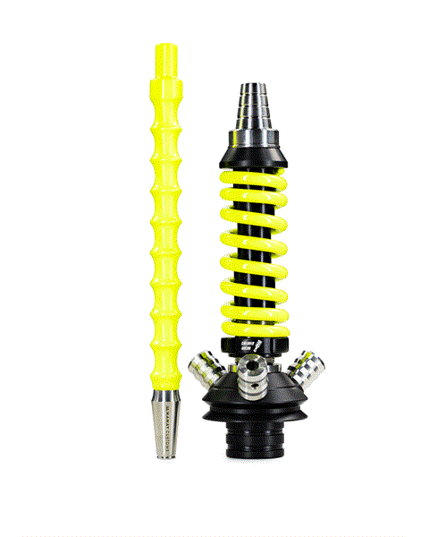 Mamay Customs Micro Coilover 6