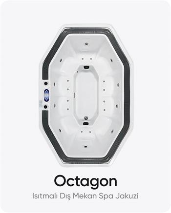 Dış Mekan Isıtmalı 10 Kişilik Bahçe ve Teras Spa Jakuzi 294X193X98 (h) cm