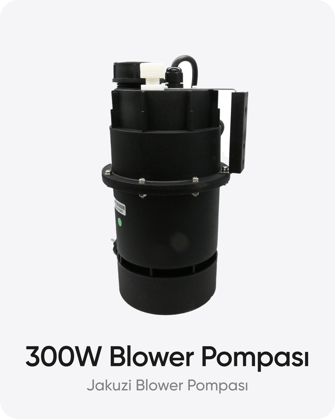 Jakuzi Blower Pompası 300W