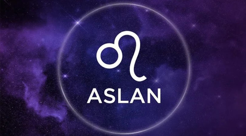 AĞUSTOS AYINDA DOĞAN ASLAN BURÇLARINA KOMBİN ÖNERİLERİ