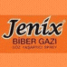 Jenix