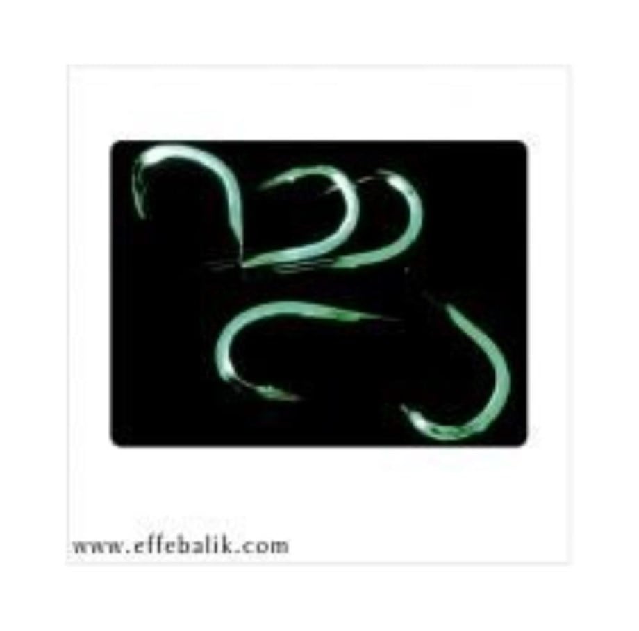 effe iğne 505 fosforlu iğne 7 Li Pk