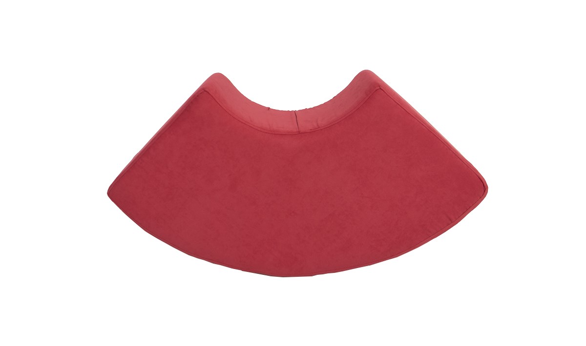 Aydede Nar Çiçeği